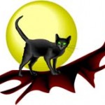 cat-full-moon