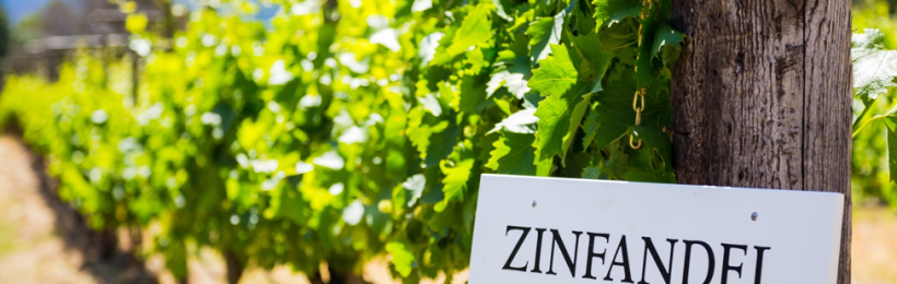 The best foods to pair with Zinfandel