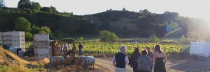 Mt. Vernon Winery Events